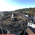 18_15-nest.jpg