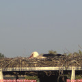 18_25-mast.jpg