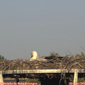 18_35-mast.jpg