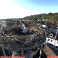 18_40-nest.jpg