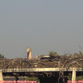 18_45-mast.jpg