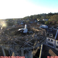 19_40-nest.jpg