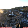 20_00-nest.jpg