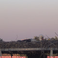 20_05-mast.jpg