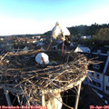 06_40-nest.jpg