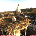 06_55-nest.jpg