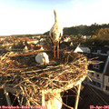 07_00-nest.jpg