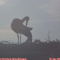 07_30-mast.jpg