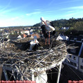 07_30-nest.jpg