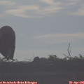 08_00-mast.jpg