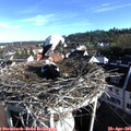 08_00-nest.jpg