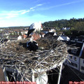 08_10-nest.jpg