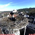 08_15-nest.jpg