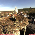 08_30-nest.jpg