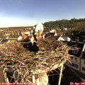 08_35-nest.jpg