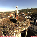 08_40-nest.jpg