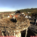 08_55-nest.jpg