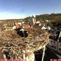 09_00-nest.jpg