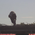 09_05-mast.jpg