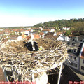 09_20-nest.jpg