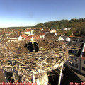 09_25-nest.jpg