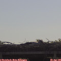 09_30-mast.jpg