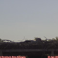 09_40-mast.jpg