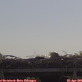 10_20-mast.jpg