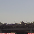 10_25-mast.jpg