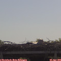 10_30-mast.jpg