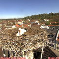 10_30-nest.jpg