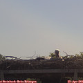 10_35-mast.jpg