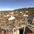 10_35-nest.jpg
