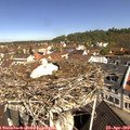 10_40-nest.jpg
