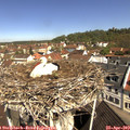 10_45-nest.jpg