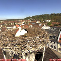10_55-nest.jpg