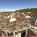 11_05-nest.jpg