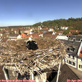 11_10-nest.jpg
