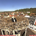11_40-nest.jpg