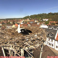 12_15-nest.jpg