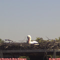 12_25-mast.jpg