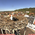 12_25-nest.jpg