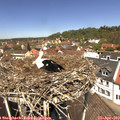 12_30-nest.jpg