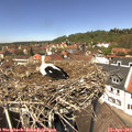 13_05-nest.jpg