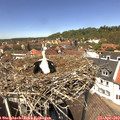 13_20-nest.jpg