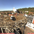13_55-nest.jpg