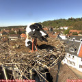 14_05-nest.jpg