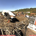 14_15-nest.jpg