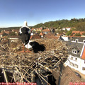 14_25-nest.jpg