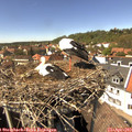 14_35-nest.jpg